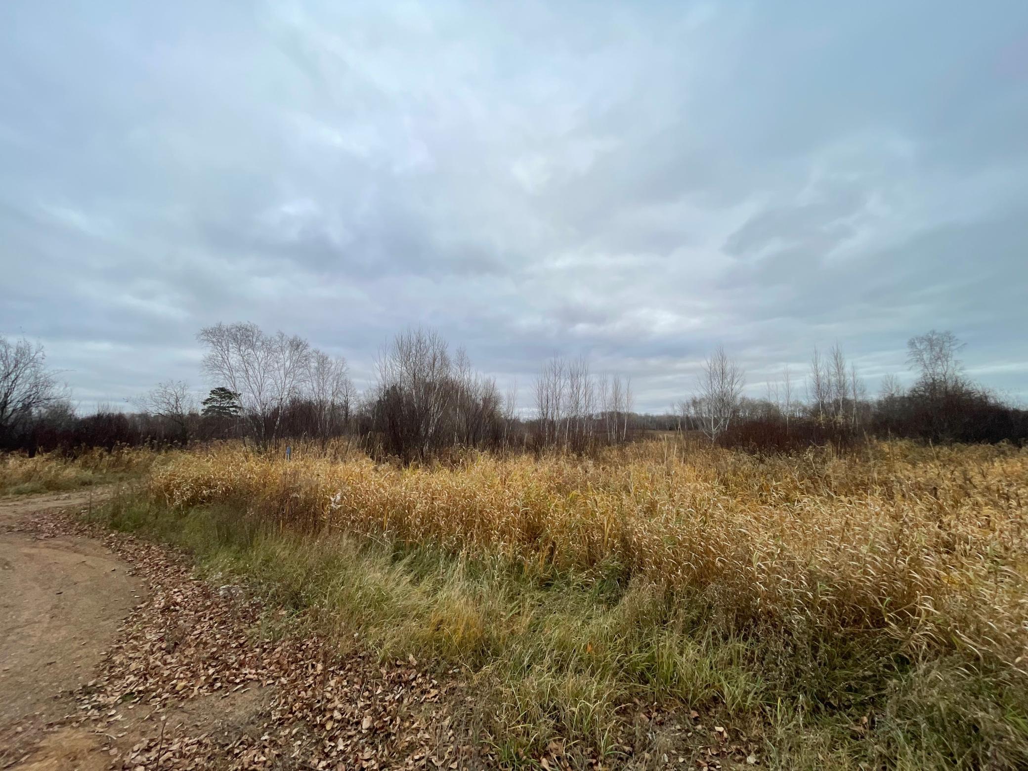 38th image of Tbd Olson Rd, Hinckley, MN 55037 | MLS# 7132800