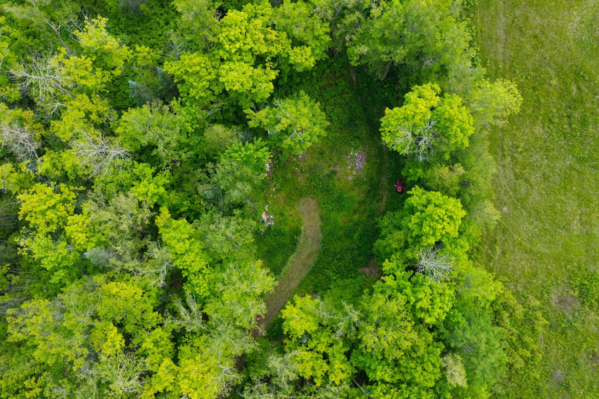 3rd image of 67246 340Th Ave, Hill City, MN 55748 | MLS# 7133182