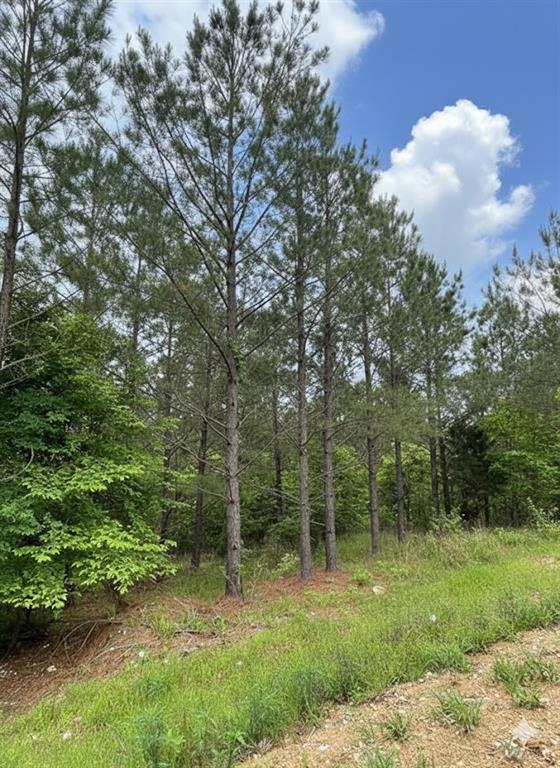 Homes for sale in Broken Bow, OK | 663 Timber Creek Trails South Xl, Broken Bow, OK 74728 | MLS# 1096932