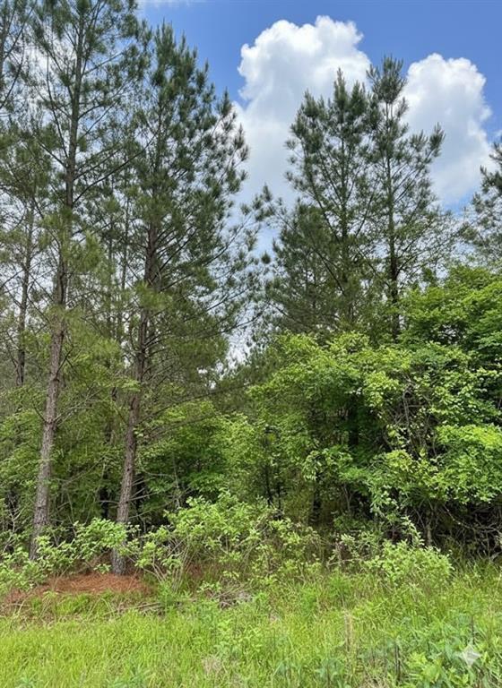 Homes for sale in Broken Bow, OK | 663 Timber Creek Trails South Xl, Broken Bow, OK 74728 | MLS# 1096932