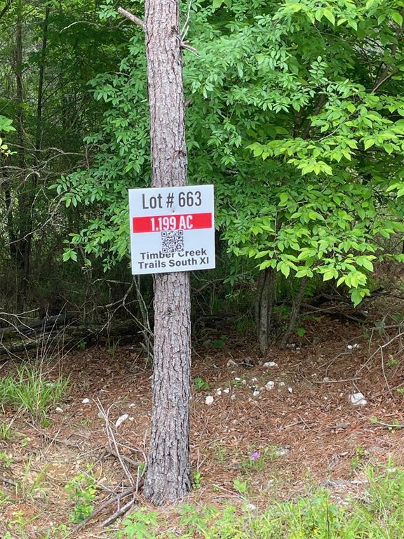 Homes for sale in Broken Bow, OK | 663 Timber Creek Trails South Xl, Broken Bow, OK 74728 | MLS# 1096932