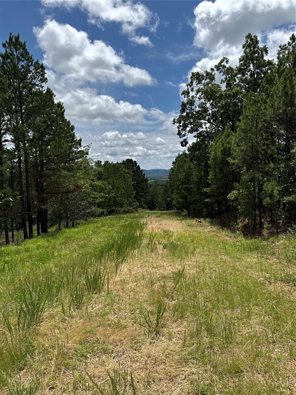 Homes for sale in Tuskahoma, OK | 92 Lot, Tuskahoma, OK 74574 | MLS# 1172424