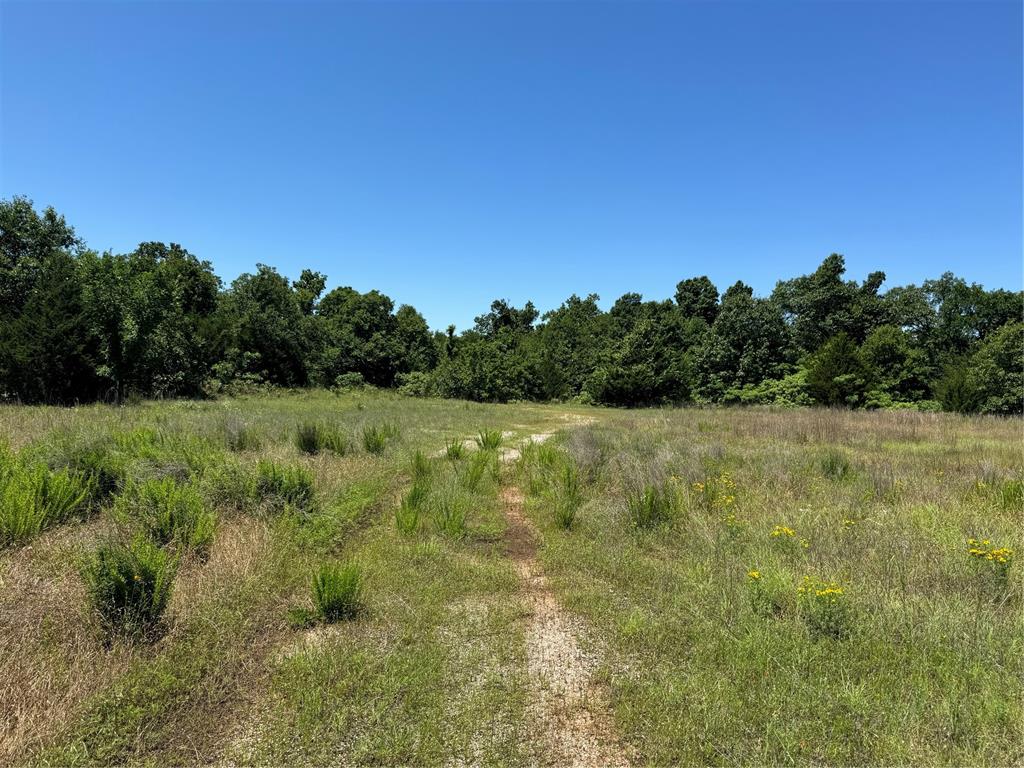 Homes for sale in Tecumseh, OK | 31915 New Hope Rd, Tecumseh, OK 74873 | MLS# 1176411