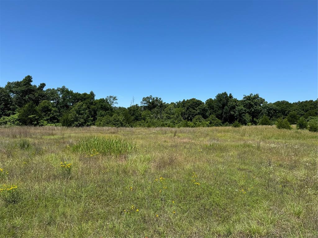 Homes for sale in Tecumseh, OK | 31915 New Hope Rd, Tecumseh, OK 74873 | MLS# 1176411