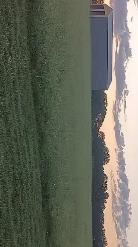 Homes for sale in Bristow, OK | 34603 Pinehill Rd, Bristow, OK 74010 | MLS# 1211352