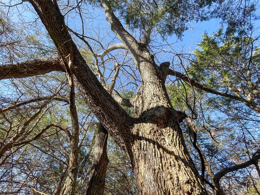 Homes for sale in Sasakwa, OK | N 365 Rd, Sasakwa, OK 74867 | MLS# 1211974