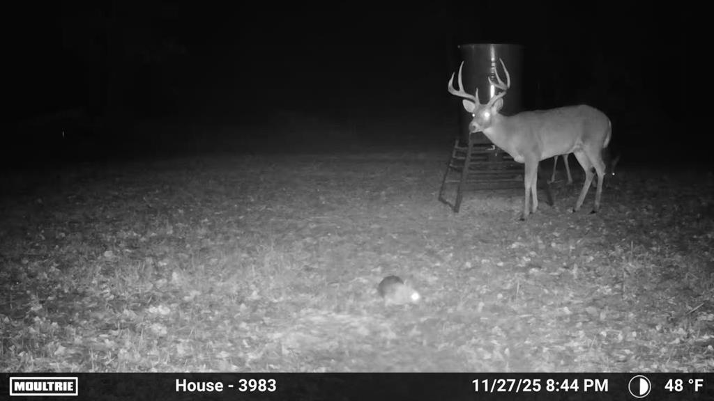 Homes for sale in Wilson, OK | 1475 Santa Fe Rd, Wilson, OK 73463 | MLS# 1217871