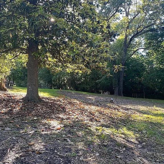 4th image of 901 Dierks St, Broken Bow, OK 74728 | MLS# 1232096