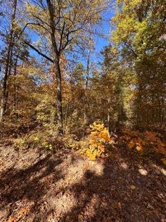 8th image of 391 Freshwater Rd, Broken Bow, OK 74728 | MLS# 1232116