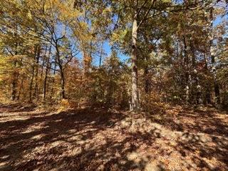 2nd image of 391 Freshwater Rd, Broken Bow, OK 74728 | MLS# 1232116