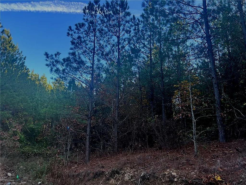 1st image of 160 Red Fern Trl, Broken Bow, OK 74728 | MLS# 1232725