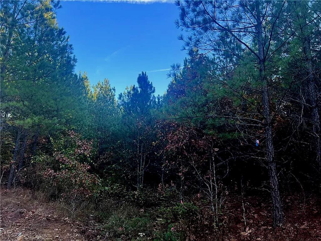6th image of 160 Red Fern Trl, Broken Bow, OK 74728 | MLS# 1232725