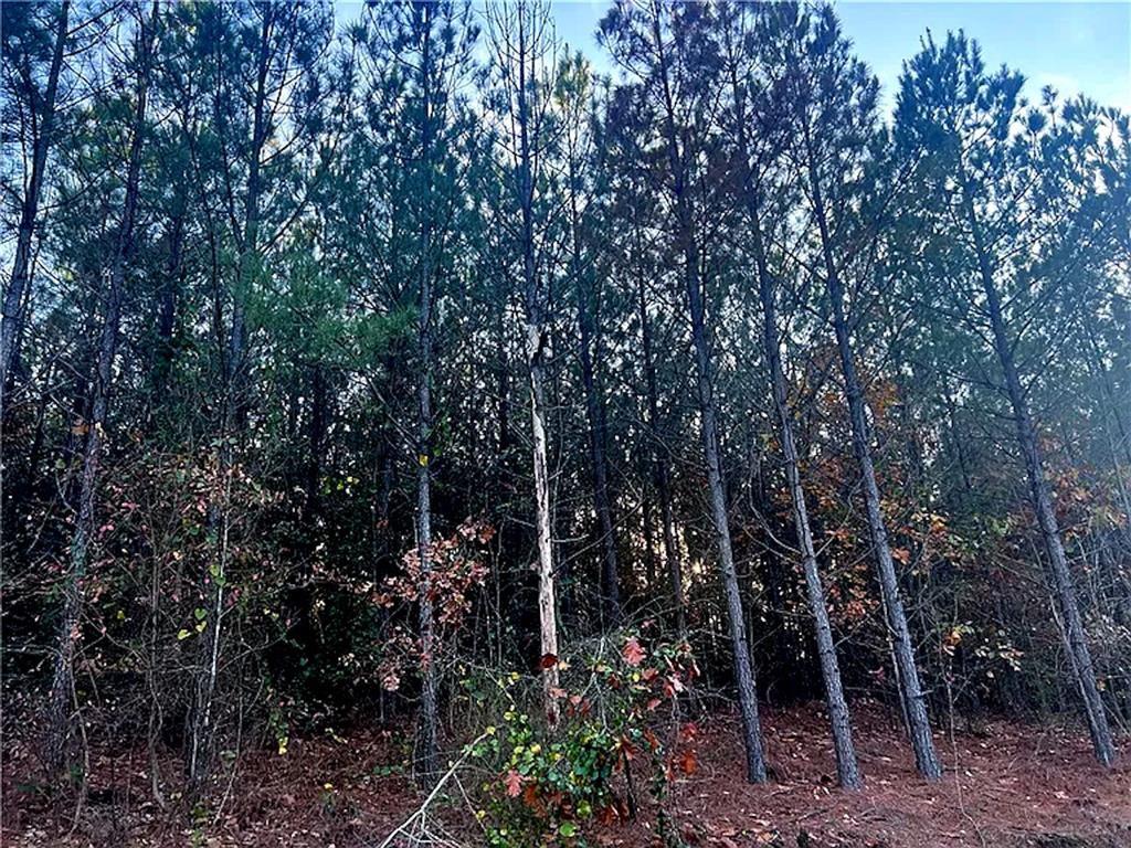 2nd image of 160 Red Fern Trl, Broken Bow, OK 74728 | MLS# 1232725