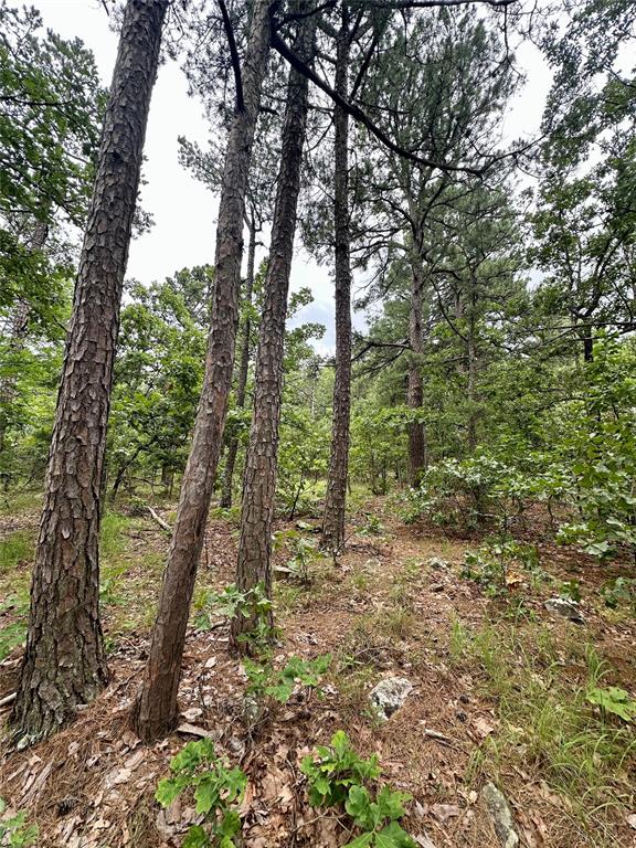 Homes for sale in Wilburton, OK | (Undisclosed), Wilburton, OK 74578 | MLS# 1239447