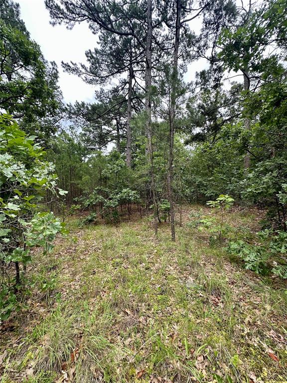 Homes for sale in Wilburton, OK | (Undisclosed), Wilburton, OK 74578 | MLS# 1239447