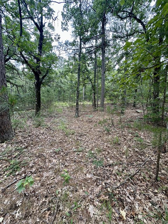 Homes for sale in Wilburton, OK | (Undisclosed), Wilburton, OK 74578 | MLS# 1239447