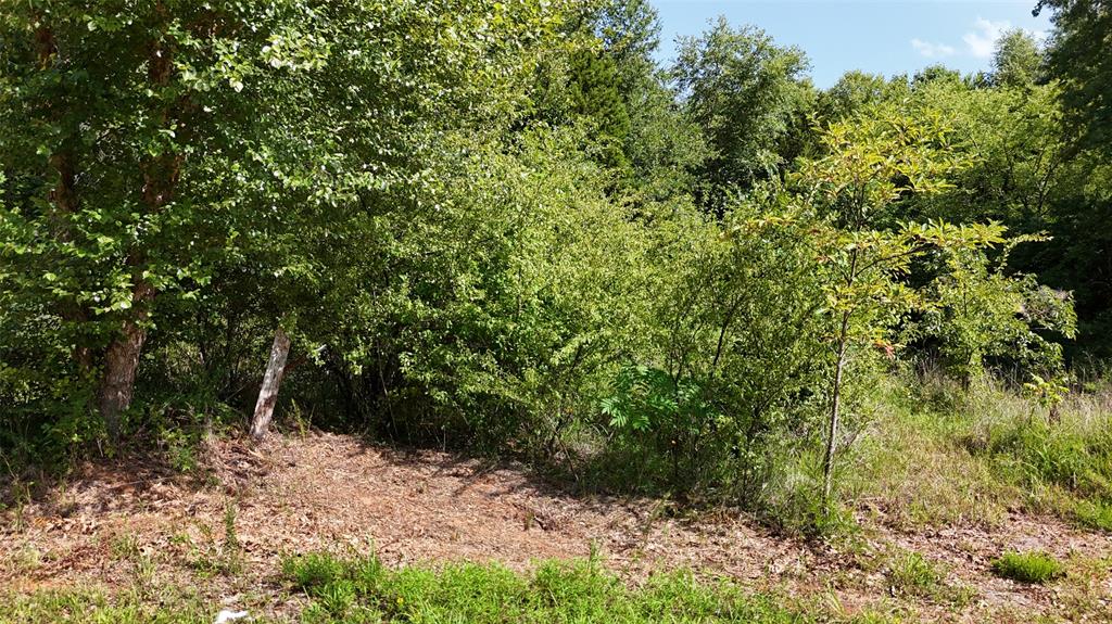 3rd image of (Undisclosed), Checotah, OK 74426 | MLS# 1240140