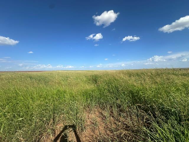 Homes for sale in Lone Wolf, OK | 13500 N 2090 Rd, Lone Wolf, OK 73655 | MLS# 1240478