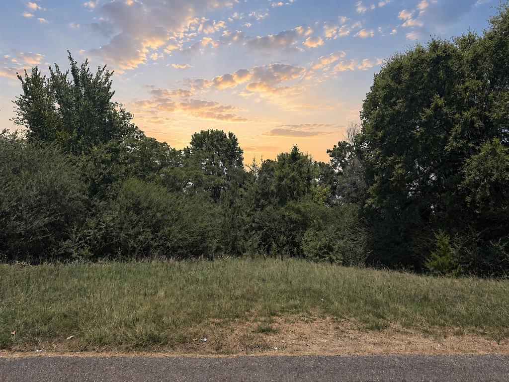 1st image of Pleasant Valley Rd, Broken Bow, OK 74728 | MLS# 1242281