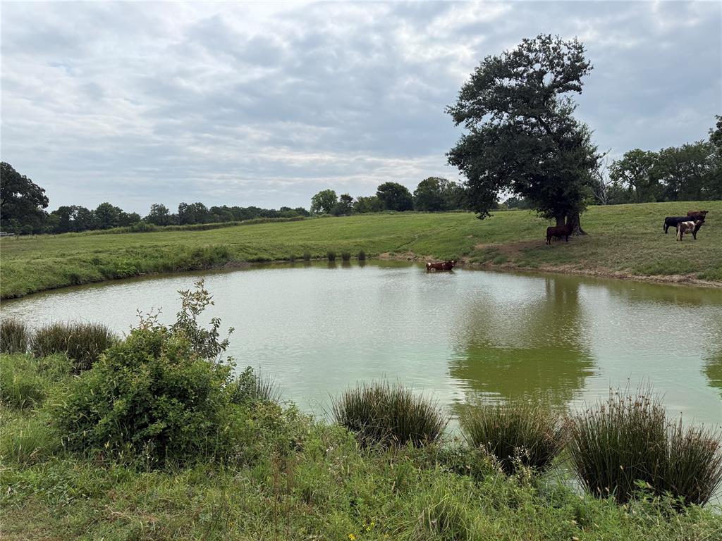 3rd image of 472481 E 1120 Rd, Muldrow, OK 74948 | MLS# 1243418