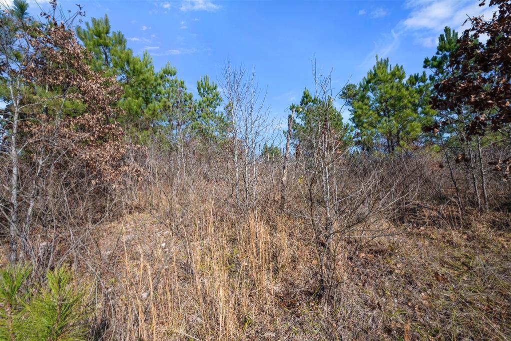 4th image of 346 Kaisley Blue Eye Wy, Broken Bow, OK 74728 | MLS# 1243477