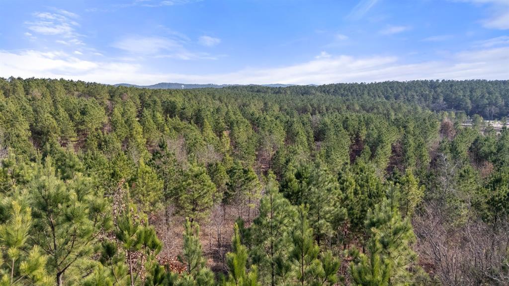 2nd image of 346 Kaisley Blue Eye Wy, Broken Bow, OK 74728 | MLS# 1243477