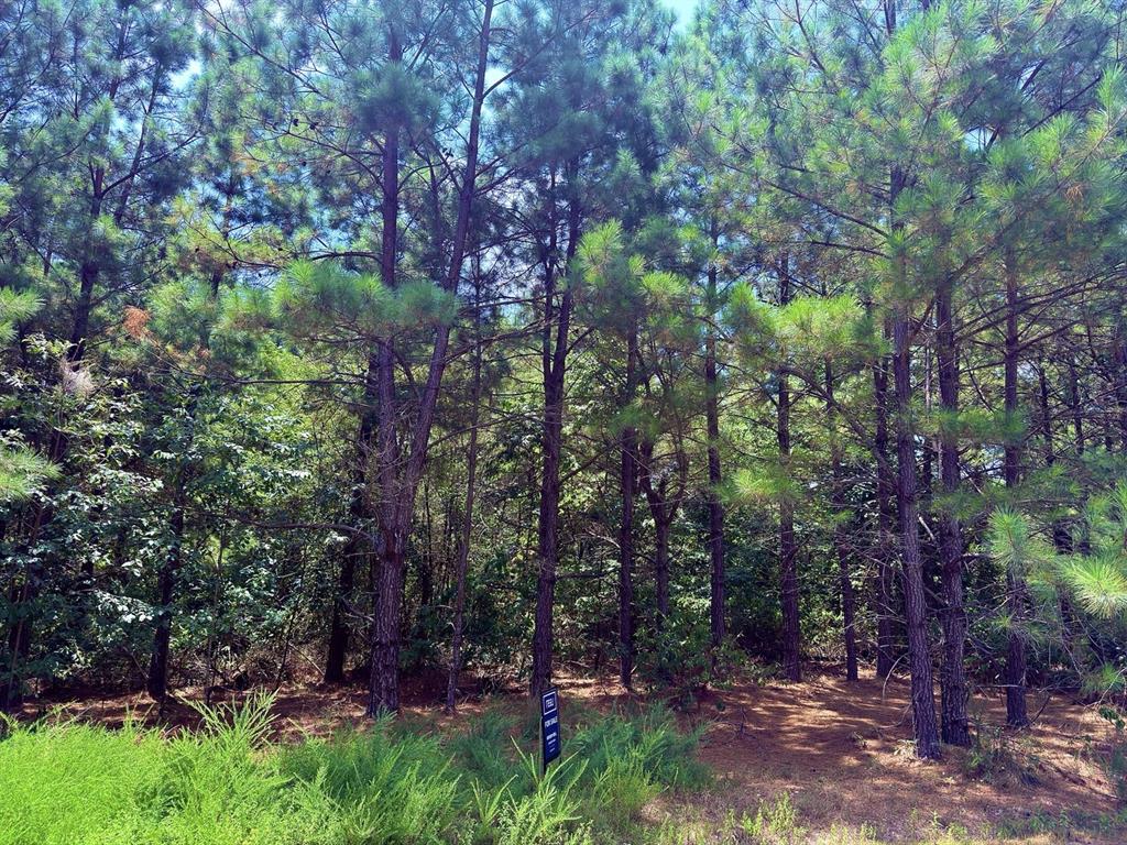 5th image of 186 Twisted Elm Trl, Broken Bow, OK 74728 | MLS# 1243620