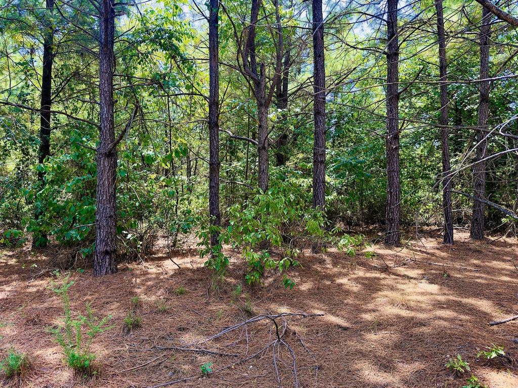 4th image of 186 Twisted Elm Trl, Broken Bow, OK 74728 | MLS# 1243620