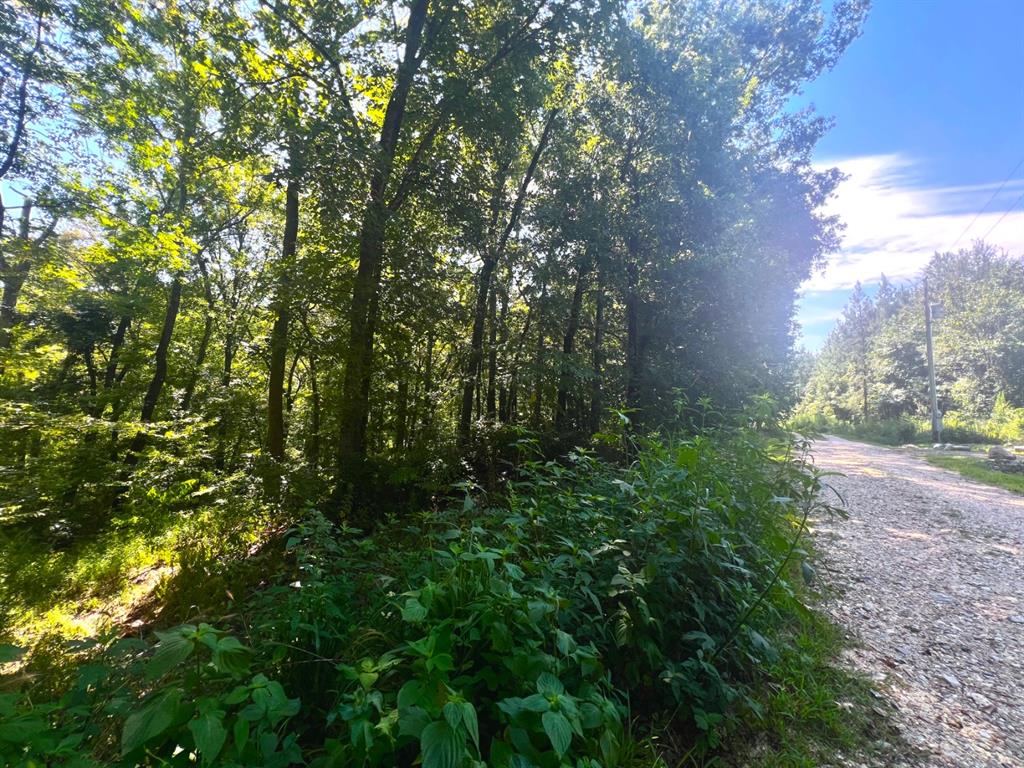1st image of 310 White Fox Ln, Broken Bow, OK 74728 | MLS# 1244238