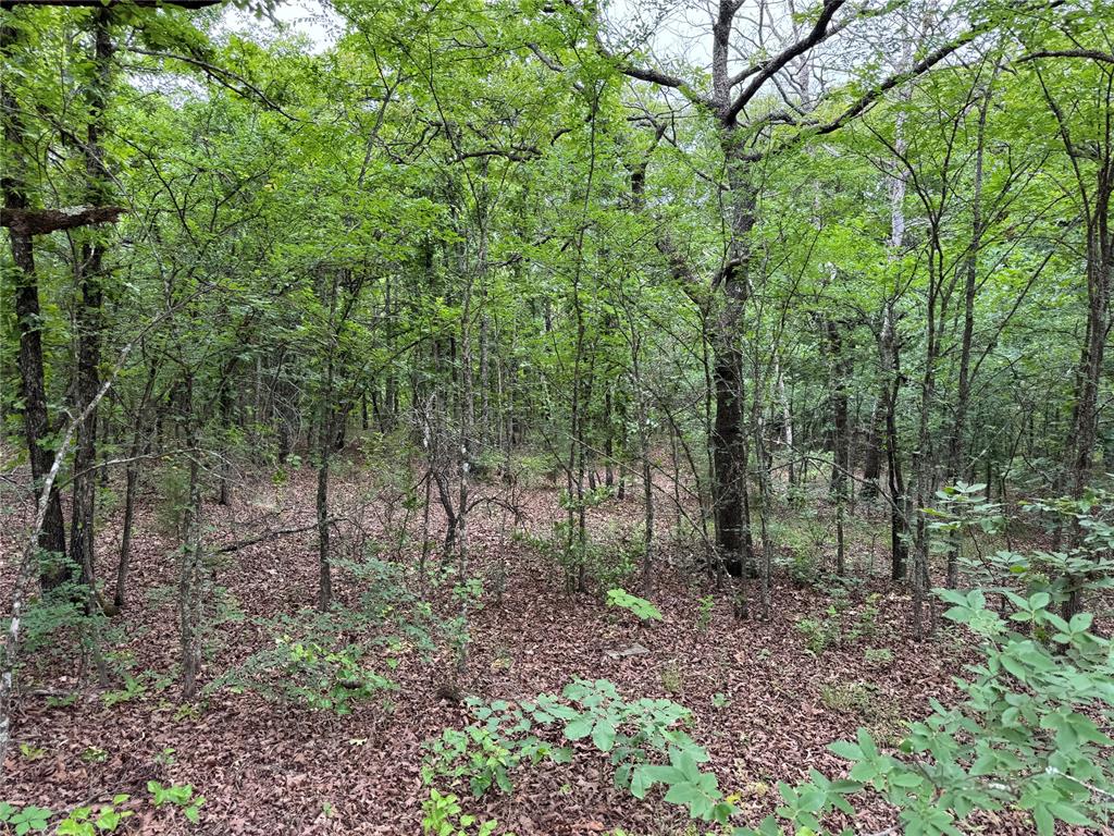 1st image of 365 Rd, Wewoka, OK 74884 | MLS# 1244243