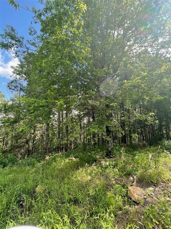 3rd image of 39 Alder Pl, Broken Bow, OK 74728 | MLS# 1244971