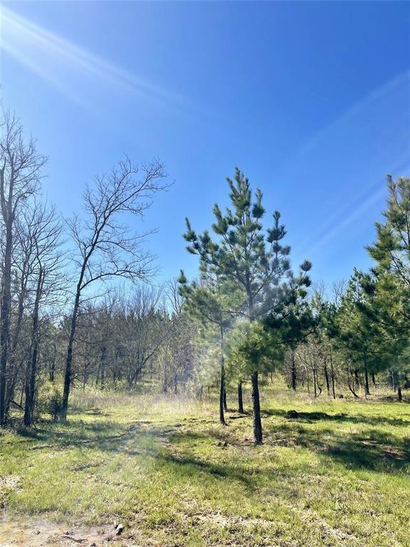 5th image of 118 Hidden Pines Loop, Broken Bow, OK 74728 | MLS# 1244987