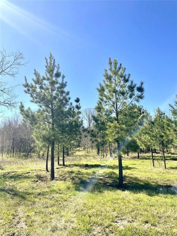 3rd image of 118 Hidden Pines Loop, Broken Bow, OK 74728 | MLS# 1244987