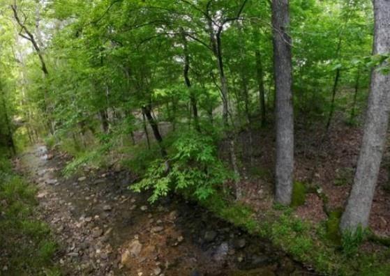 2nd image of 118 Hidden Pines Loop, Broken Bow, OK 74728 | MLS# 1244987