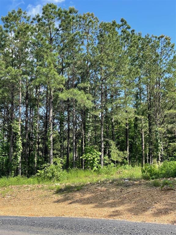 5th image of 164 Timberline Trl, Broken Bow, OK 74728 | MLS# 1245207