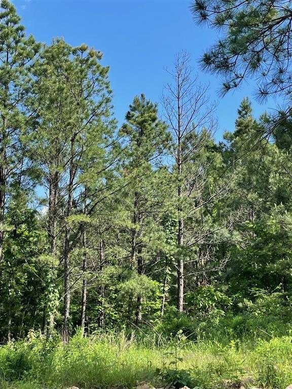 3rd image of 164 Timberline Trl, Broken Bow, OK 74728 | MLS# 1245207