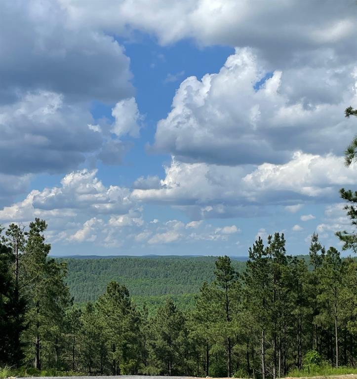 1st image of 164 Timberline Trl, Broken Bow, OK 74728 | MLS# 1245207