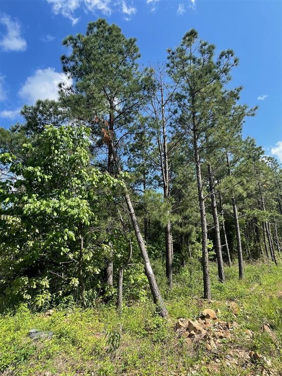 4th image of 164 Timberline Trl, Broken Bow, OK 74728 | MLS# 1245207