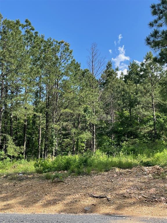 2nd image of 164 Timberline Trl, Broken Bow, OK 74728 | MLS# 1245207