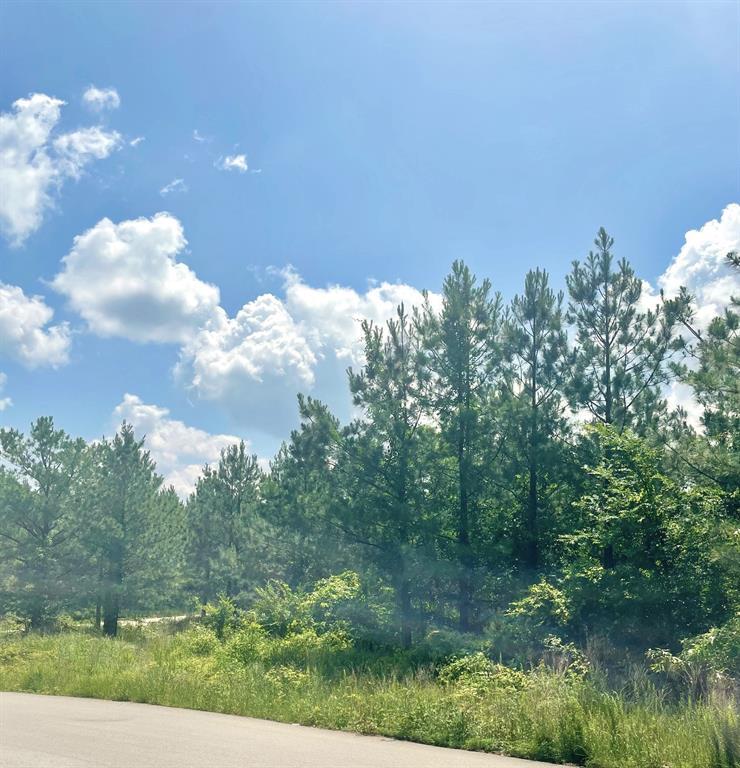 3rd image of 364 Sugarberry Trl, Broken Bow, OK 74728 | MLS# 1245211