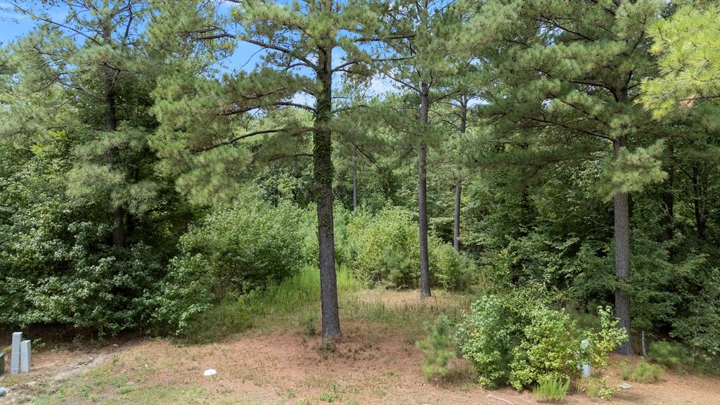 1st image of 179 Coffee Tree Trl, Broken Bow, OK 74728 | MLS# 1245244