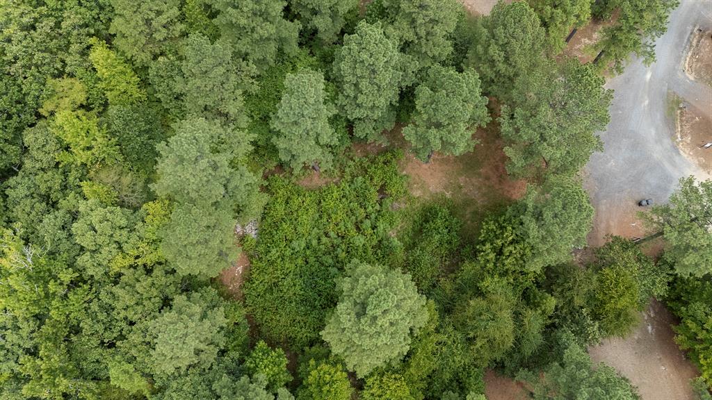 4th image of 179 Coffee Tree Trl, Broken Bow, OK 74728 | MLS# 1245244