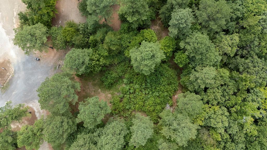 3rd image of 179 Coffee Tree Trl, Broken Bow, OK 74728 | MLS# 1245244