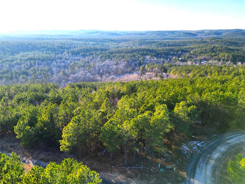3rd image of 484 Lukfata Fork Trl, Broken Bow, OK 74728 | MLS# 1245782