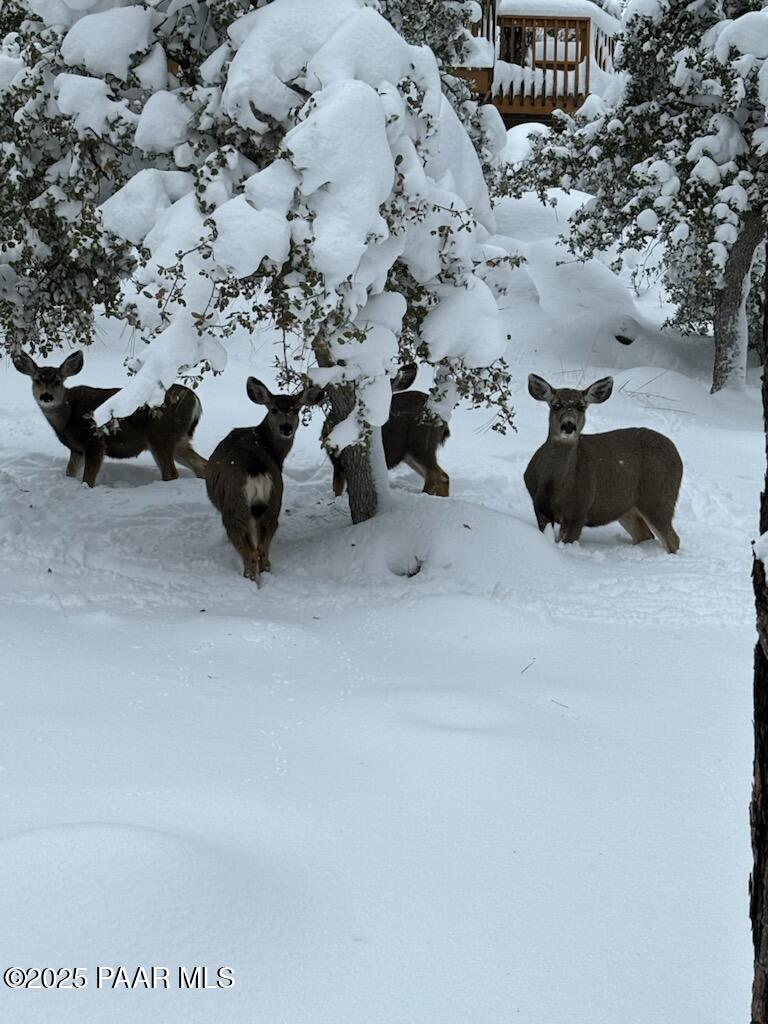 Homes for sale in Prescott, AZ | 835 Happy Valley Rd, Prescott, AZ 86305 | MLS# 1074295