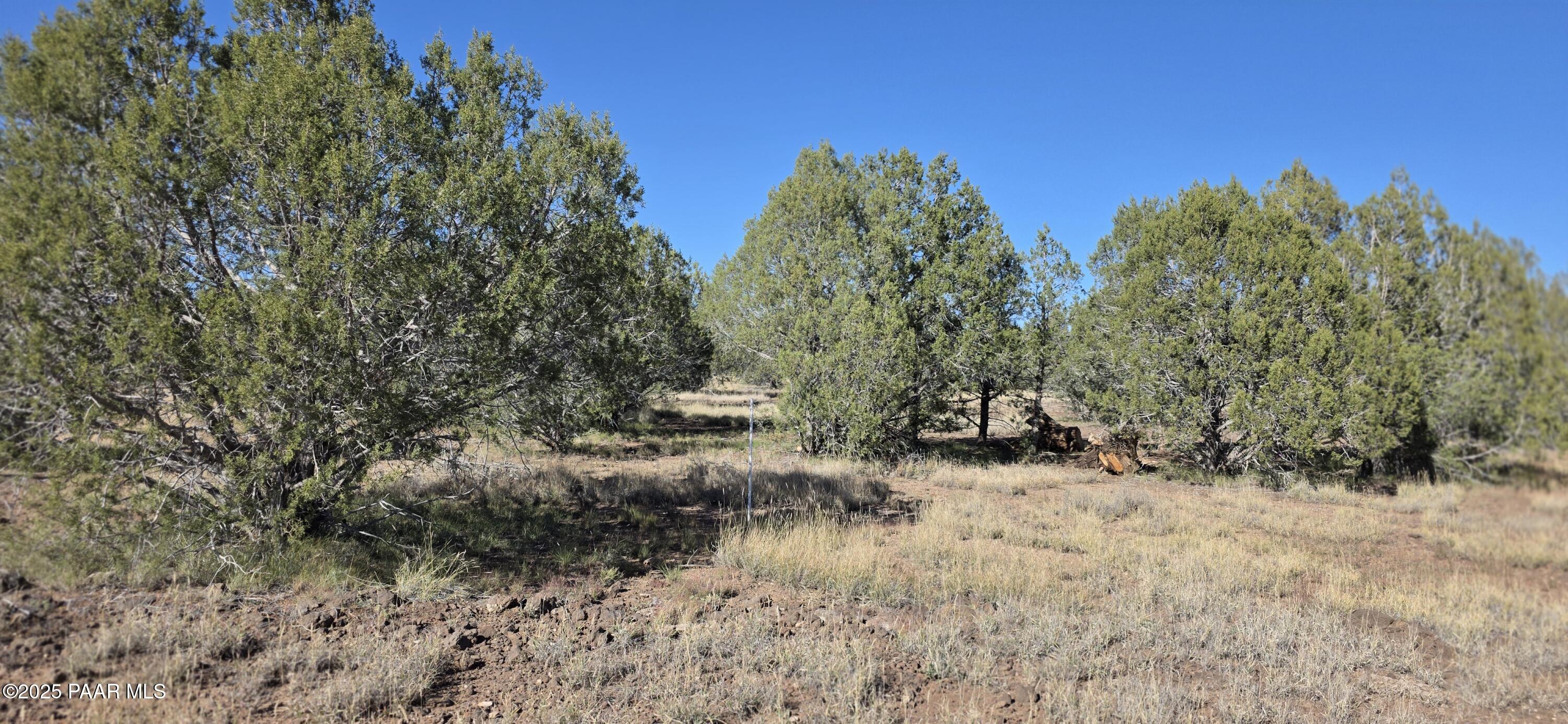 Homes for sale in Williams, AZ | 3715 Shawn Way, Williams, AZ 86046 | MLS# 1077712