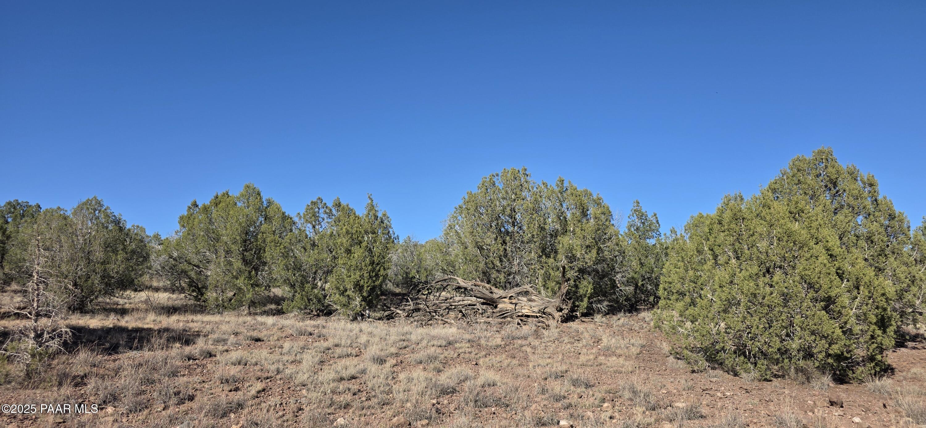 Homes for sale in Williams, AZ | 3715 Shawn Way, Williams, AZ 86046 | MLS# 1077712