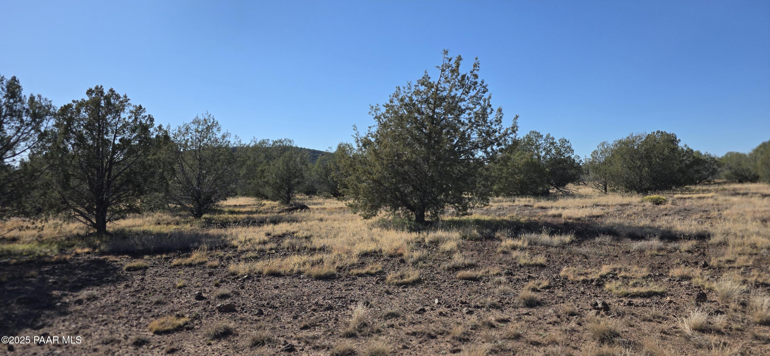 Homes for sale in Williams, AZ | 3715 Shawn Way, Williams, AZ 86046 | MLS# 1077712