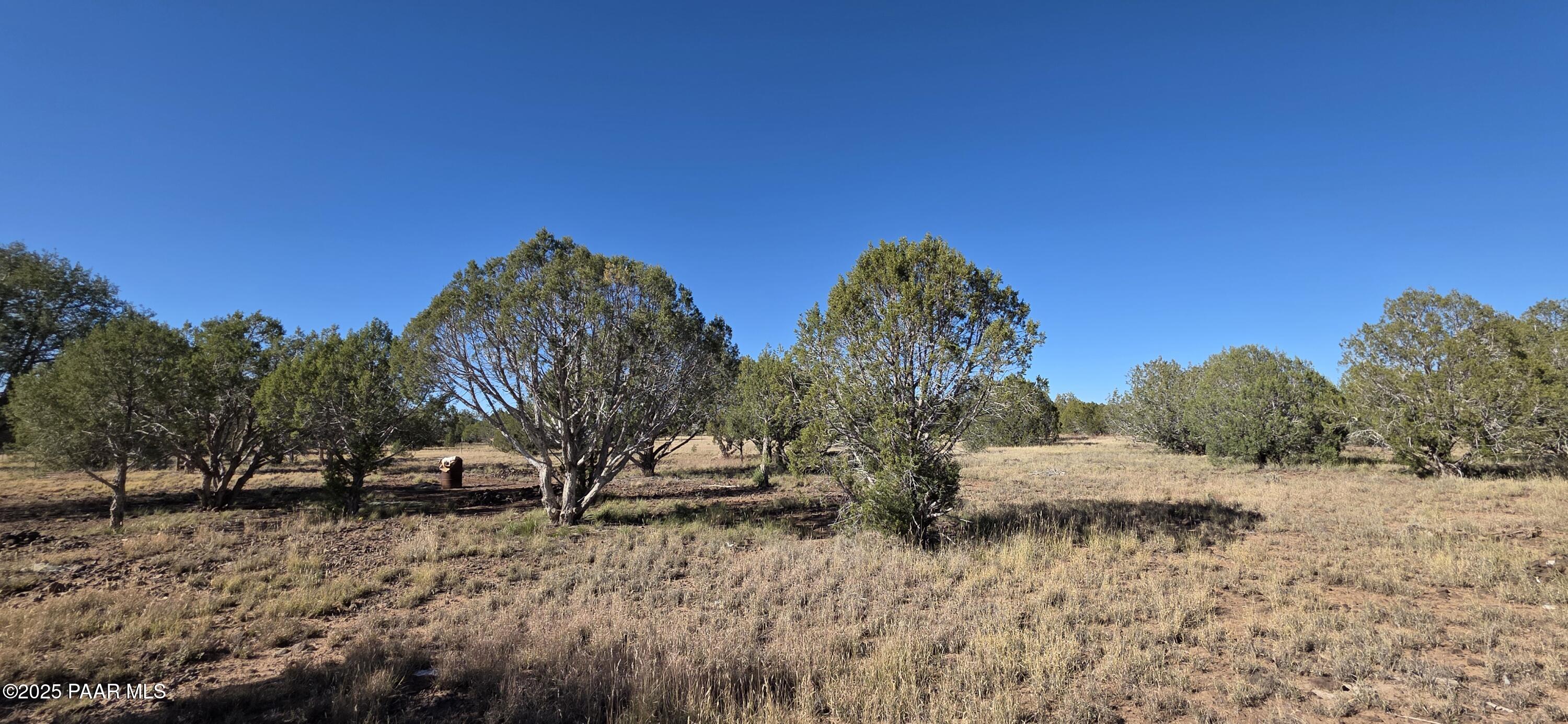 Homes for sale in Williams, AZ | 3715 Shawn Way, Williams, AZ 86046 | MLS# 1077712