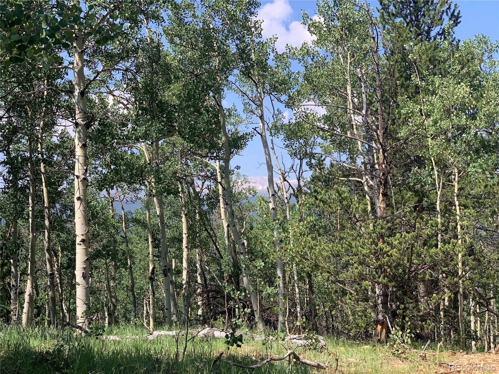 Homes for sale in Alma, CO | 99 Dead Toad Rd, Alma, CO 80420 | MLS# 2408610